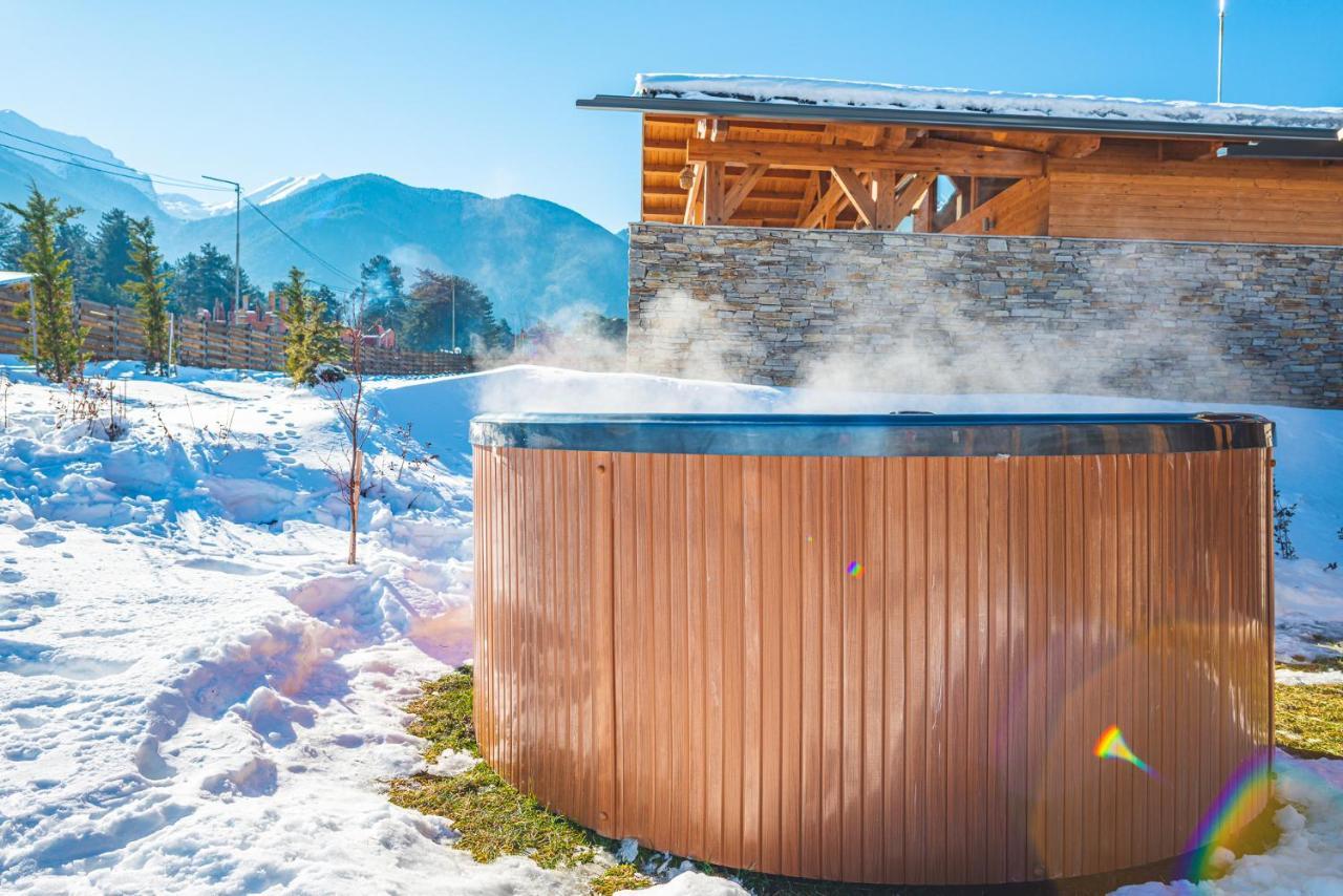 Villa Mountain Hawk Park Bansko Exterior foto